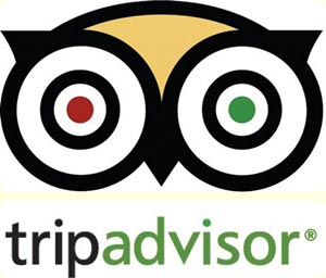 Dominical Surf Camp Goes Live on Tripadvisor